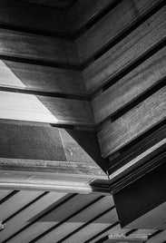 310_suarezc_14_7-standard.jpg
