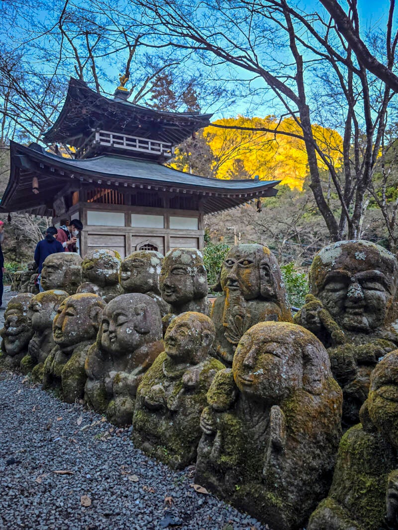 japan-110-standard.jpg