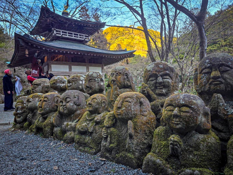 japan-111-standard.jpg