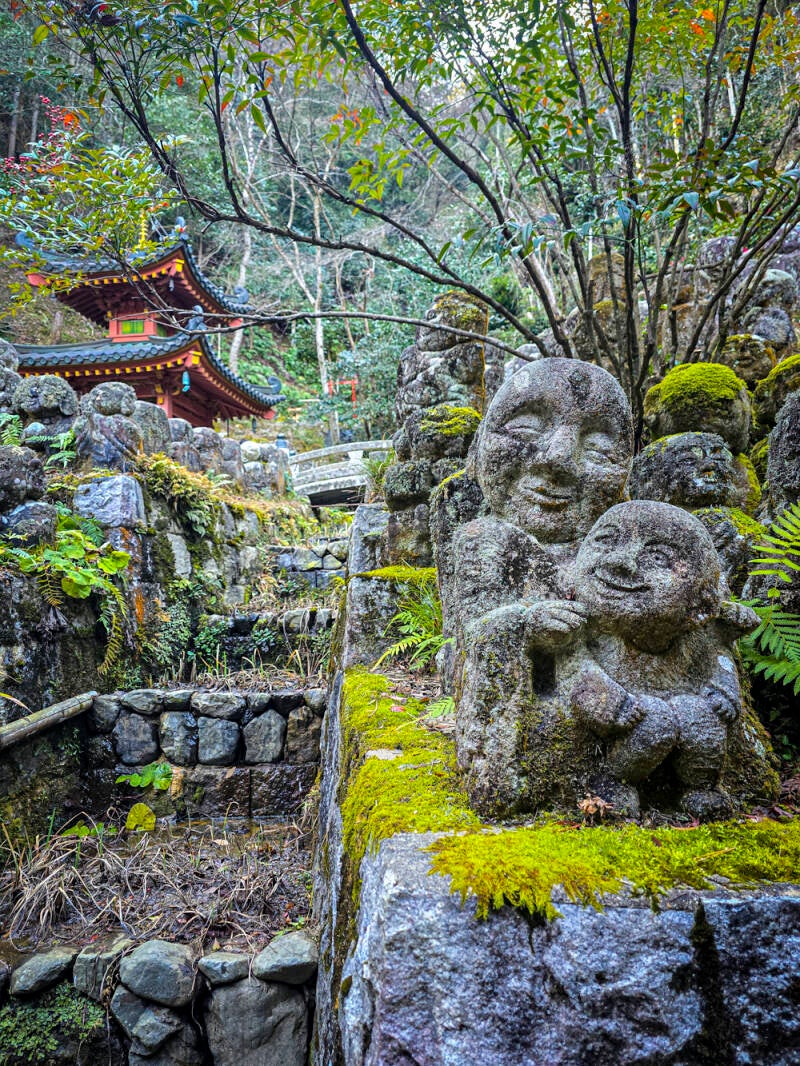 japan-114-standard.jpg
