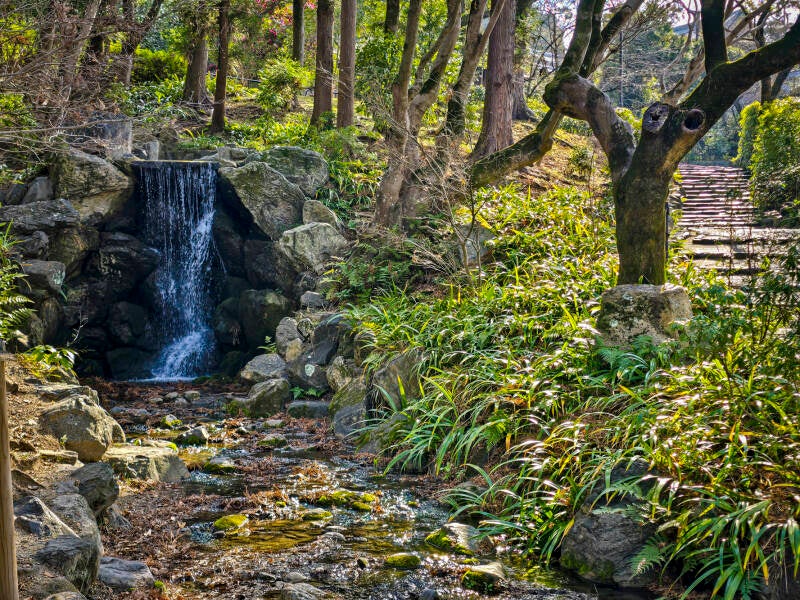 japan-115-standard.jpg