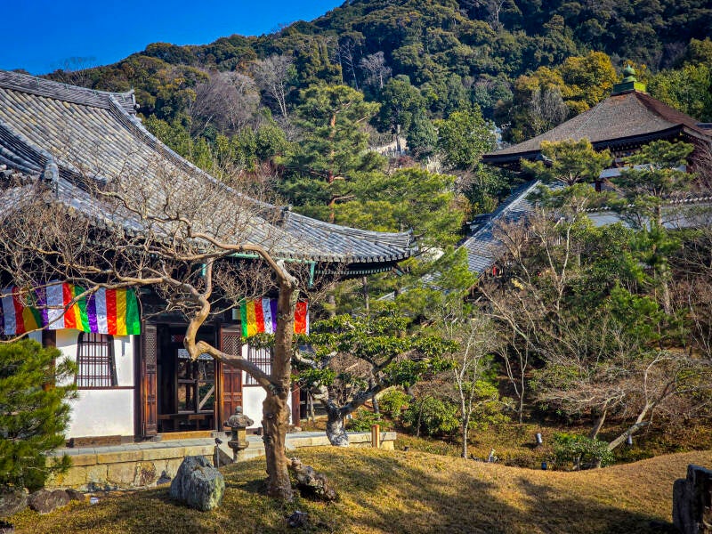 japan-123-standard.jpg