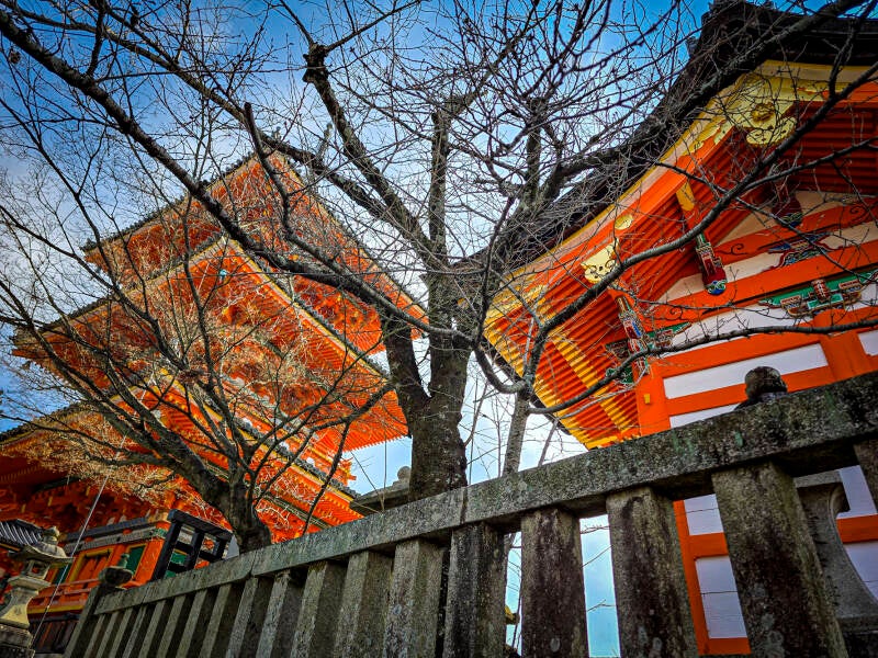 japan-128-standard.jpg