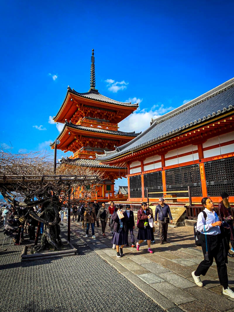 japan-130-standard.jpg