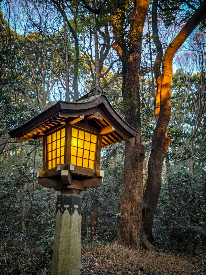 japan-25-standard.jpg
