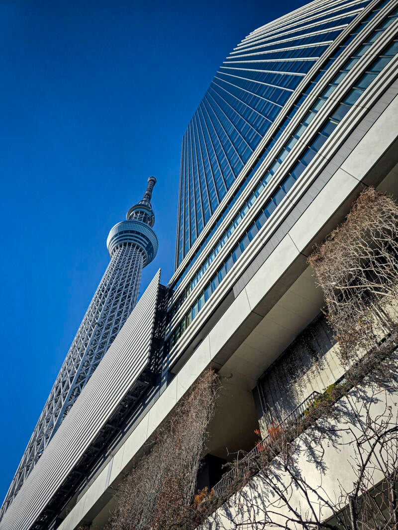 japan-36-standard.jpg