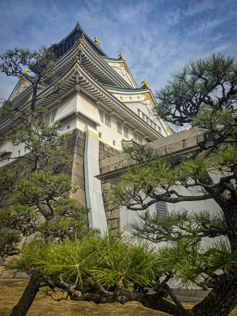 japan-51-standard.jpg