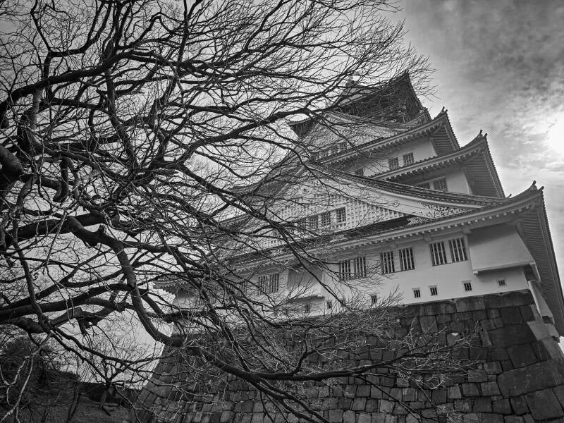 japan-52-standard.jpg