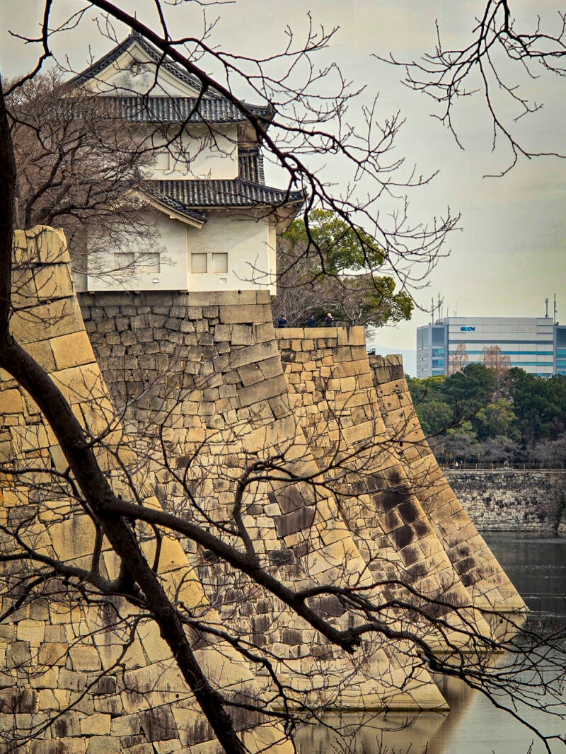 japan-56-standard.jpg