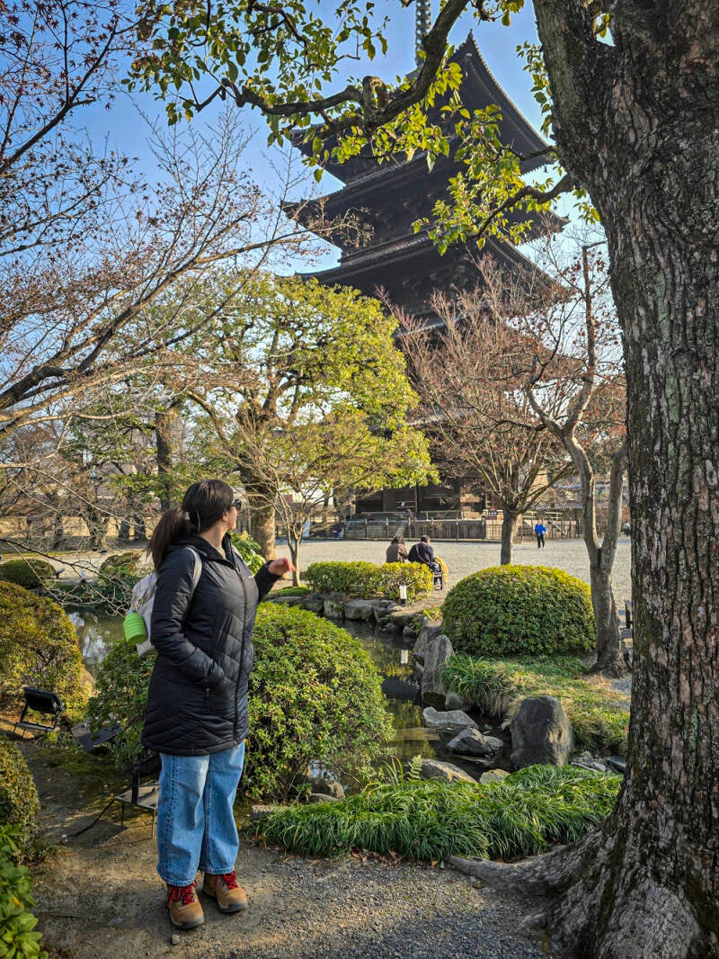 japan-64-standard.jpg