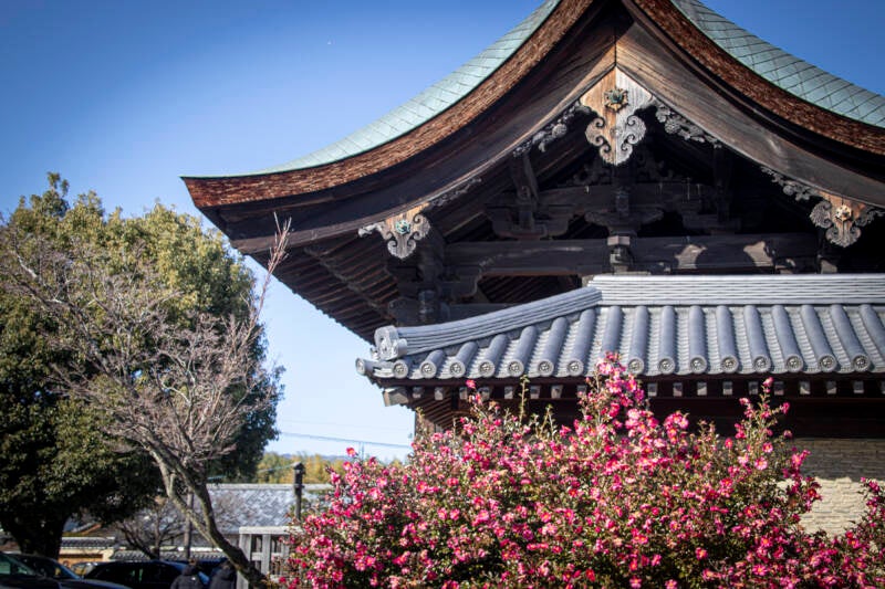 japan-81-standard.jpg