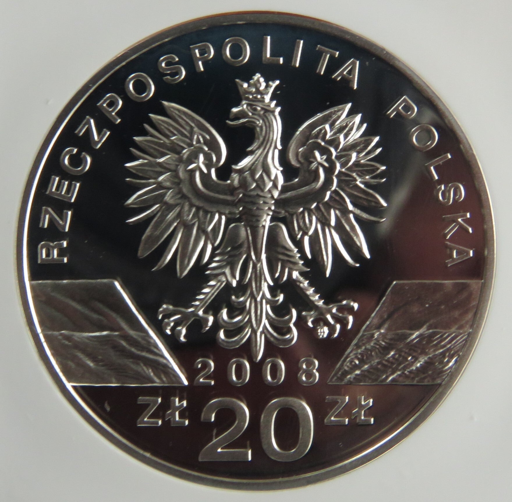 Polen 20 zloties 2008 Peregrine Falcon