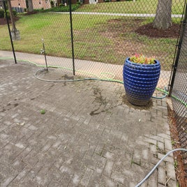 20250510_110401-standard.jpg