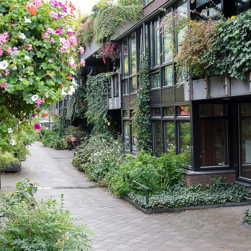 Medinabuurt woonerf