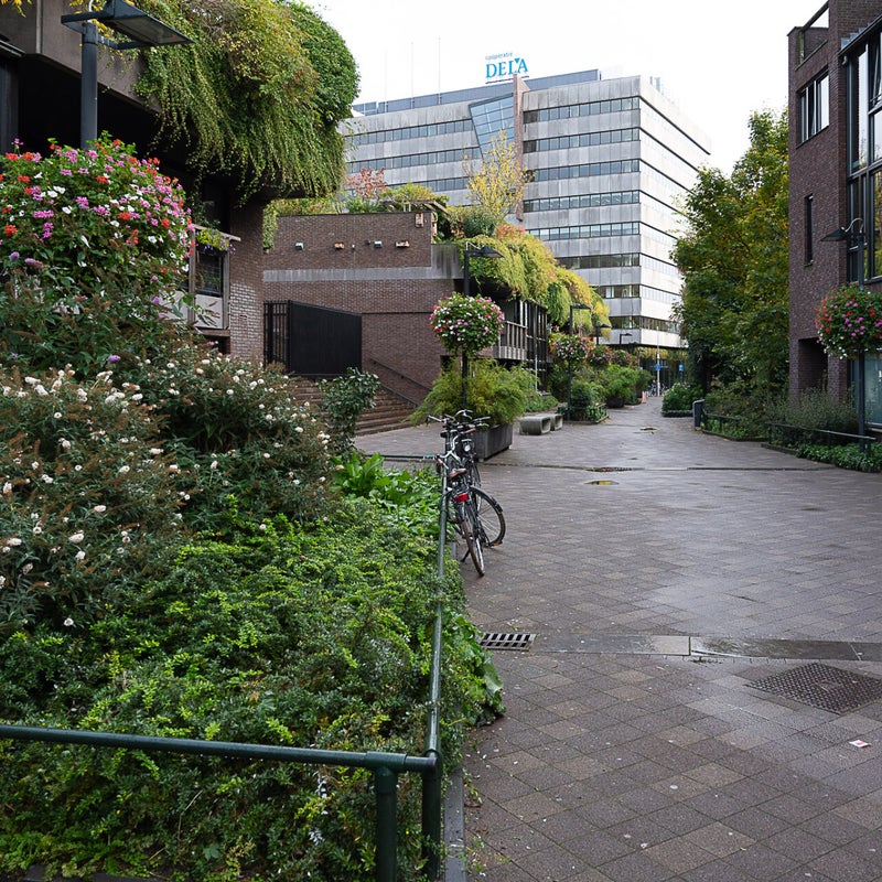Het College, Medinabuurt woonerf
