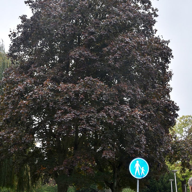 20221014-8d4cf7fe-7a18-4c81-8f86-0ec46256867d_1_105_c.jpg