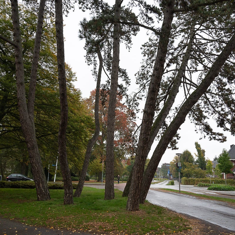 20221014-dsc_9087.jpg