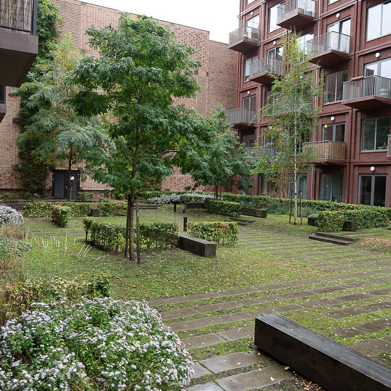 daktuinen aan de Philitelaan