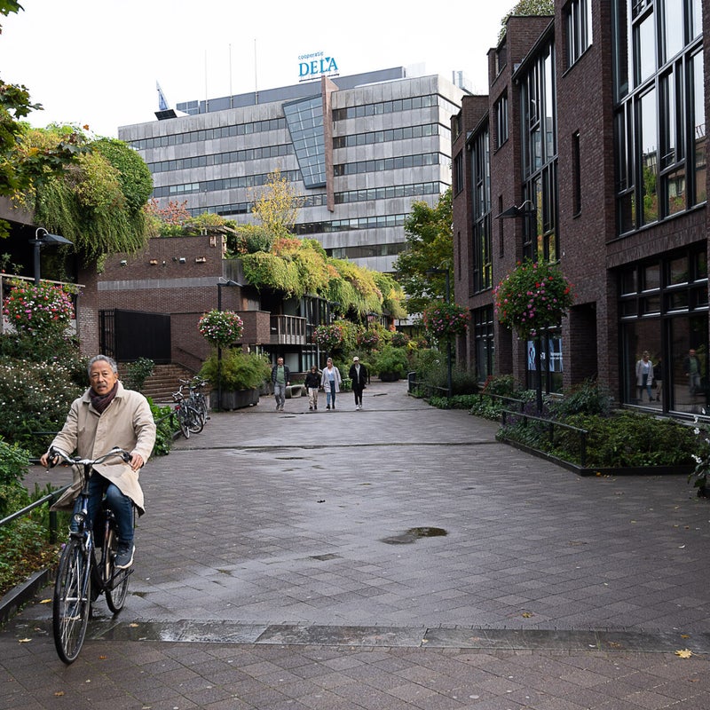 Het College, Medinabuurt