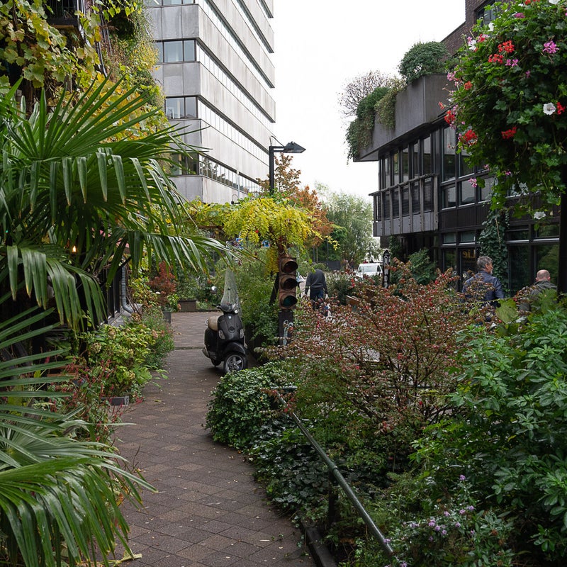 Medinabuurt woonerf