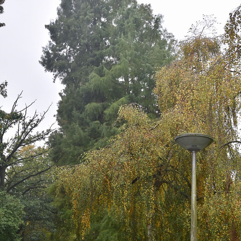 20221014-40549345-da08-49c5-9db0-bdcb58b1b3f9_1_105_c.jpg