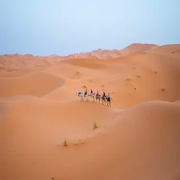merzoug.webp
