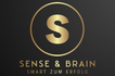 Sense &amp; Brain