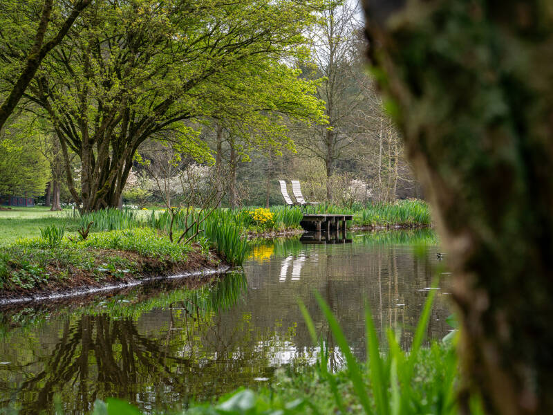 bruns-park-1-19-standard.jpg