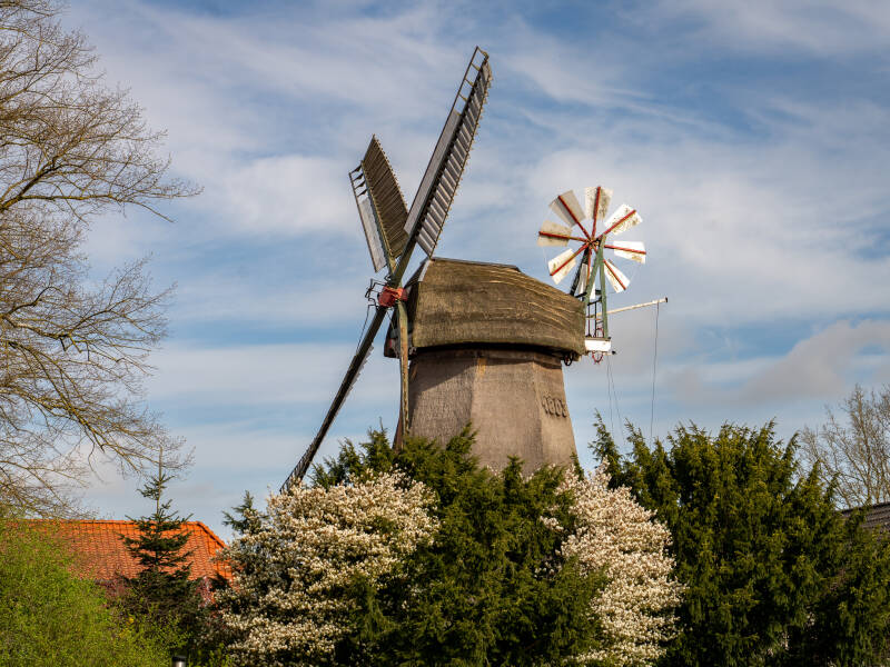 remels-1-24-standard.jpg