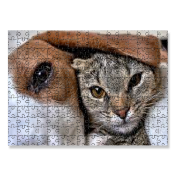 Puzzle con foto