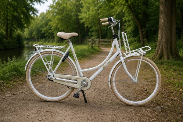 Batavus Diva Dames Framehoogte 62 cm  € 599,00