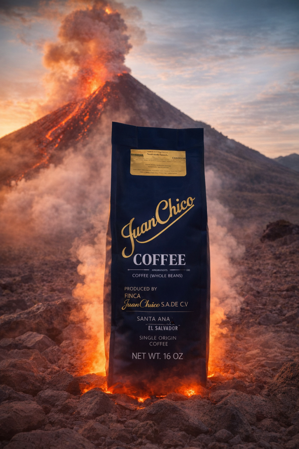 16 oz washed process Whole Coffee Beans Single-origin coffee from Santa Ana .El Salvador