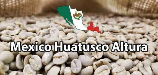 Arabica medium Roasted mexican Coffee beans