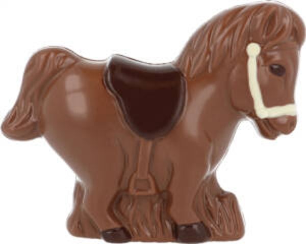 Pony