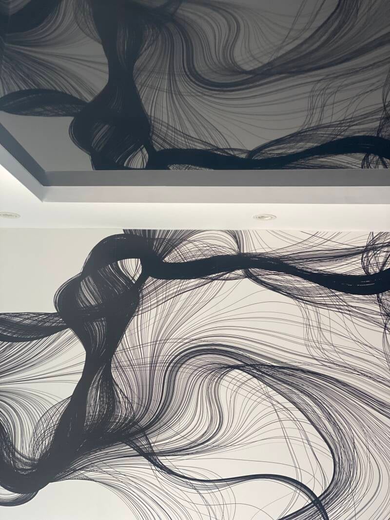 papier peint et plafond tendu Uzes