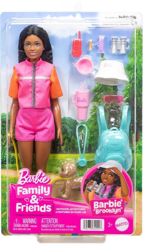 Barbie Familie en Vrienden Barbie Brooklyn Pop en Accessoires