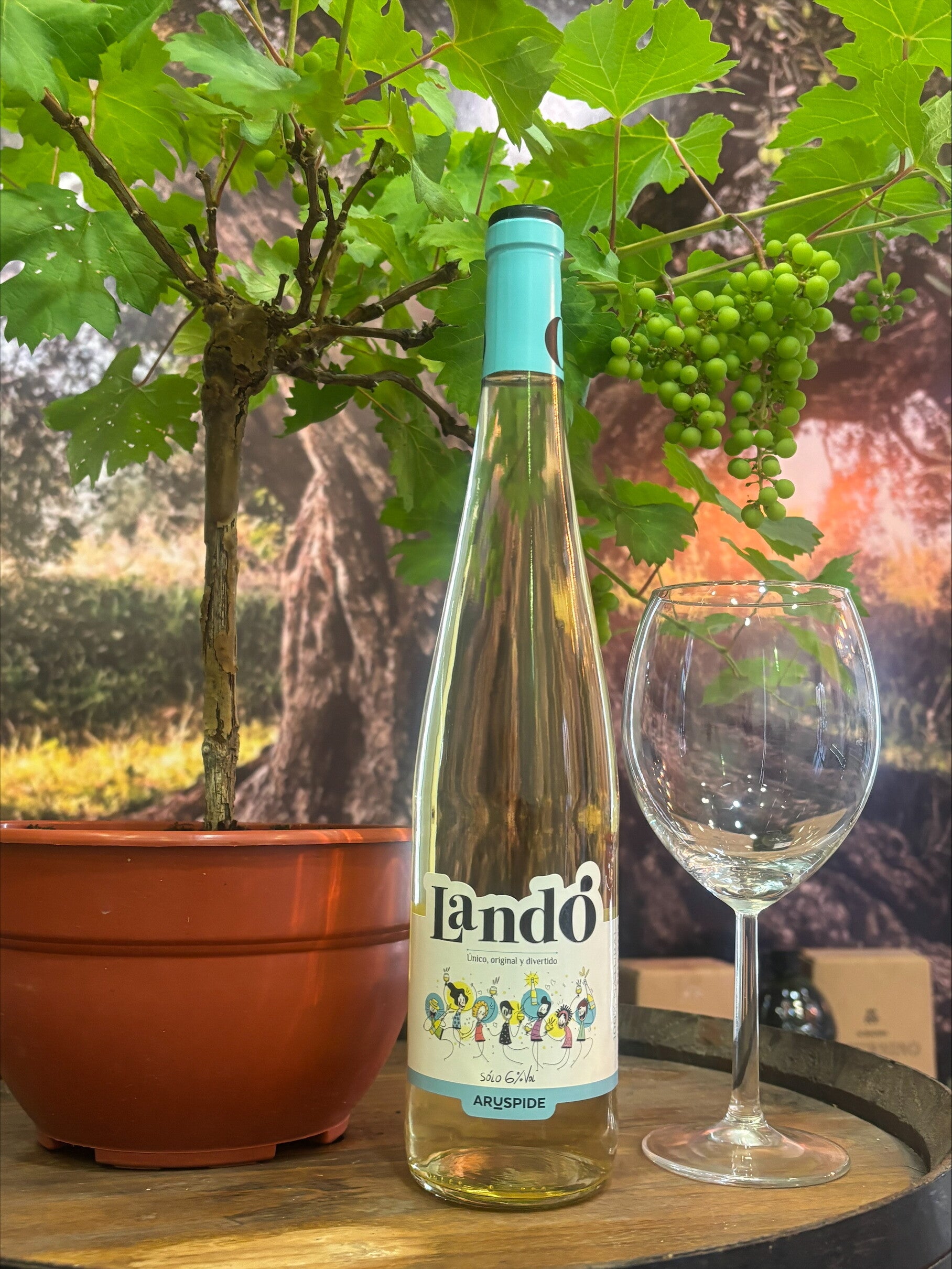 Vinos Landó - Frescura y Elegancia en Cada Copa