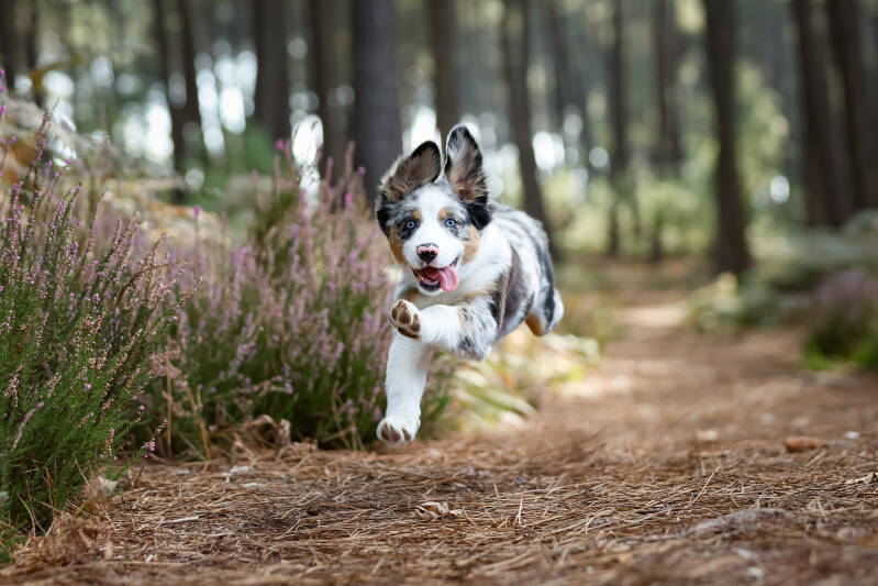 shooting-lockie-9-standard-ysx2u3.jpg