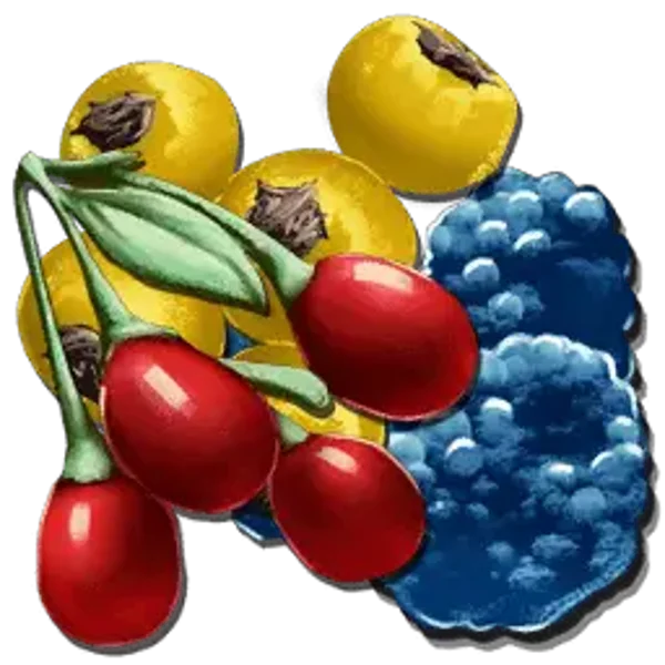 Berries – 1 Fridge (ASE)