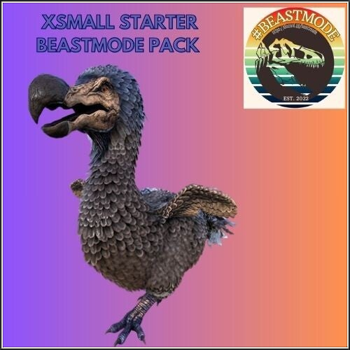 XSmall Starter Beastmode Pack ASA