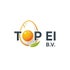 TOP EI B.V.