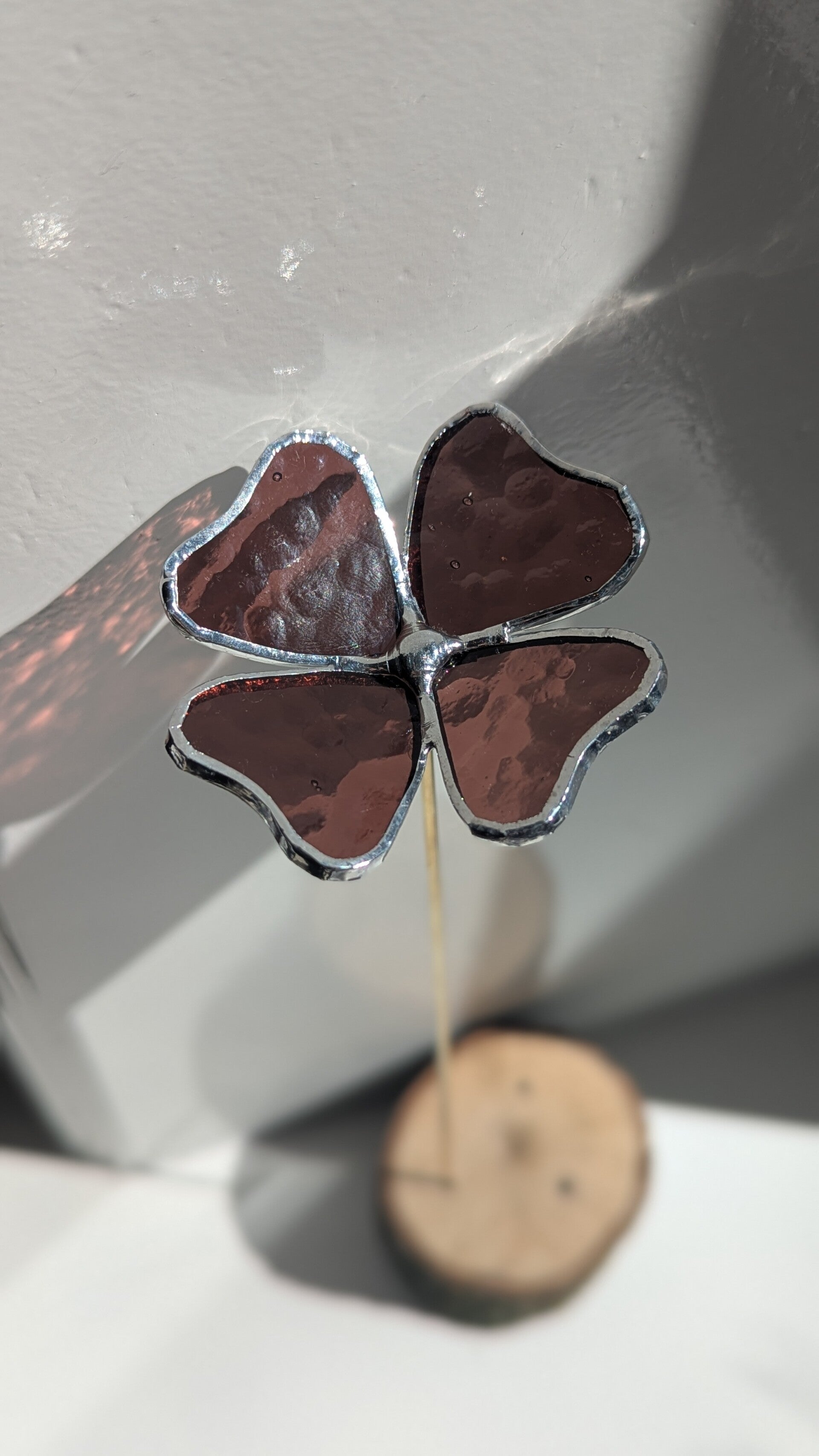 Fonkelbloem Donkerroze