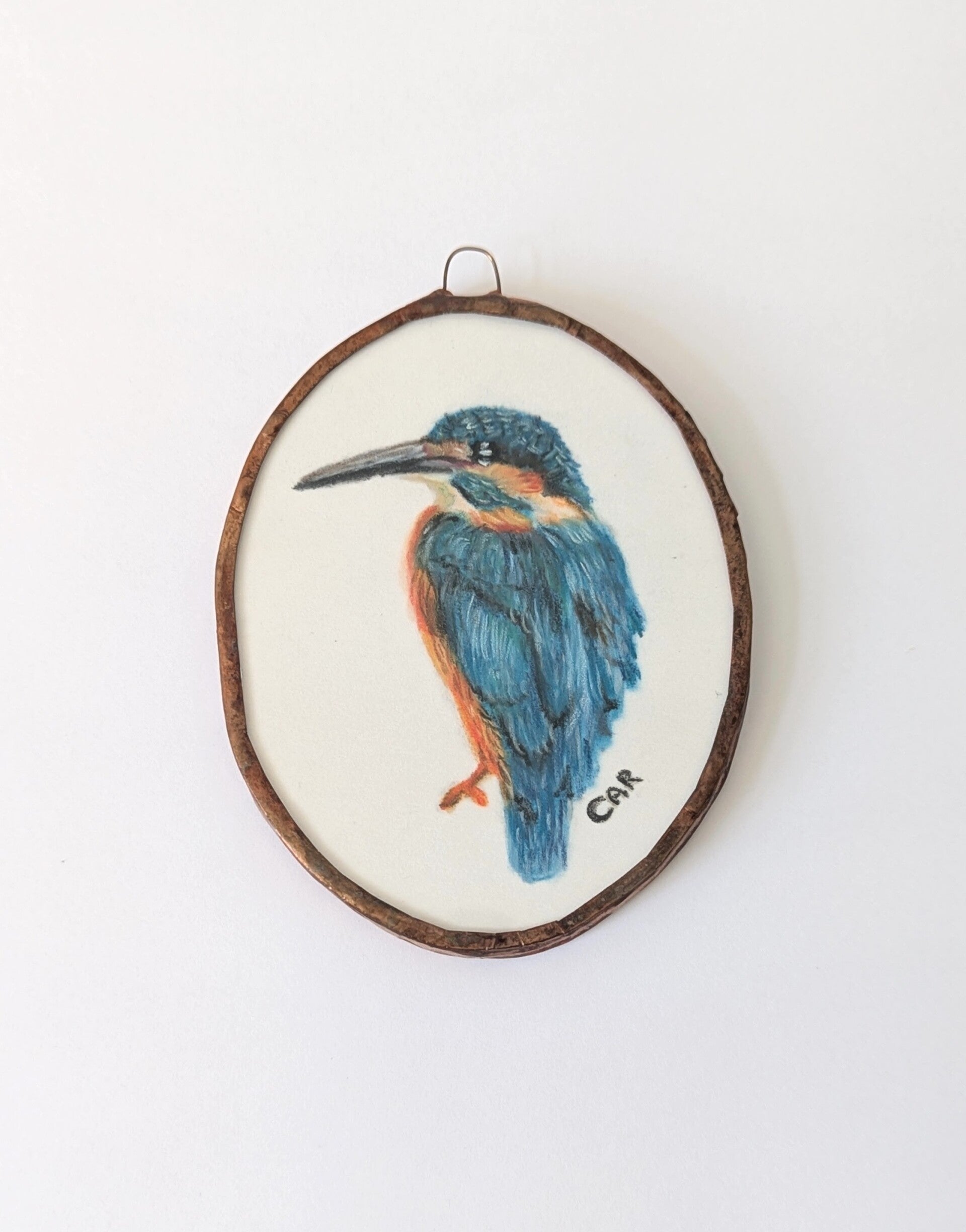 Vogelportret IJsvogel