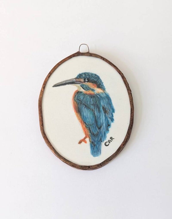 Vogelportret IJsvogel