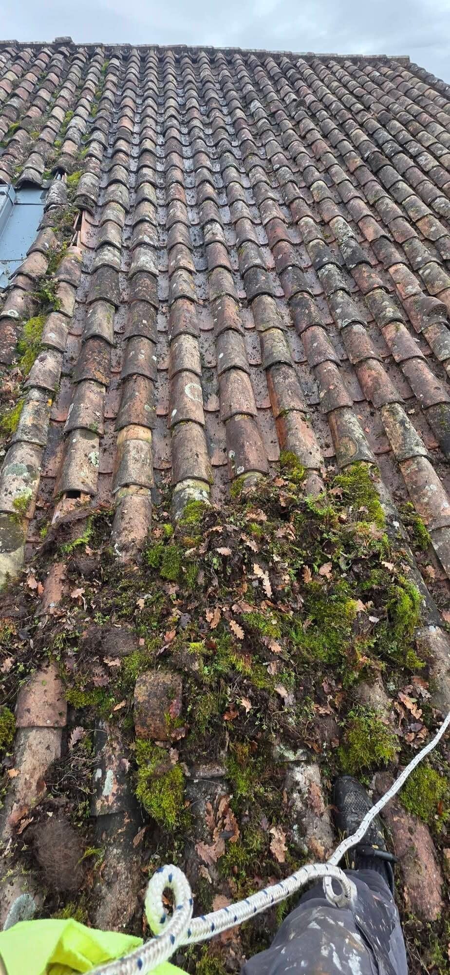 Démoussage manuel de toiture tuiles à la tige de botte à Angoulême Charente 16 par Sud-Ouest Couverture couvreur zingueur