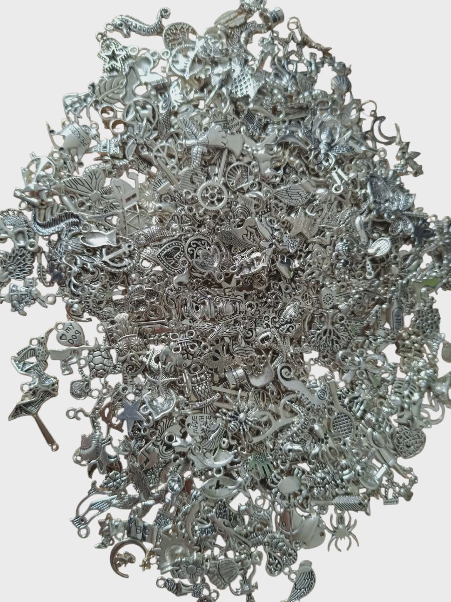 Lot 630 Charms Acier Inoxydable