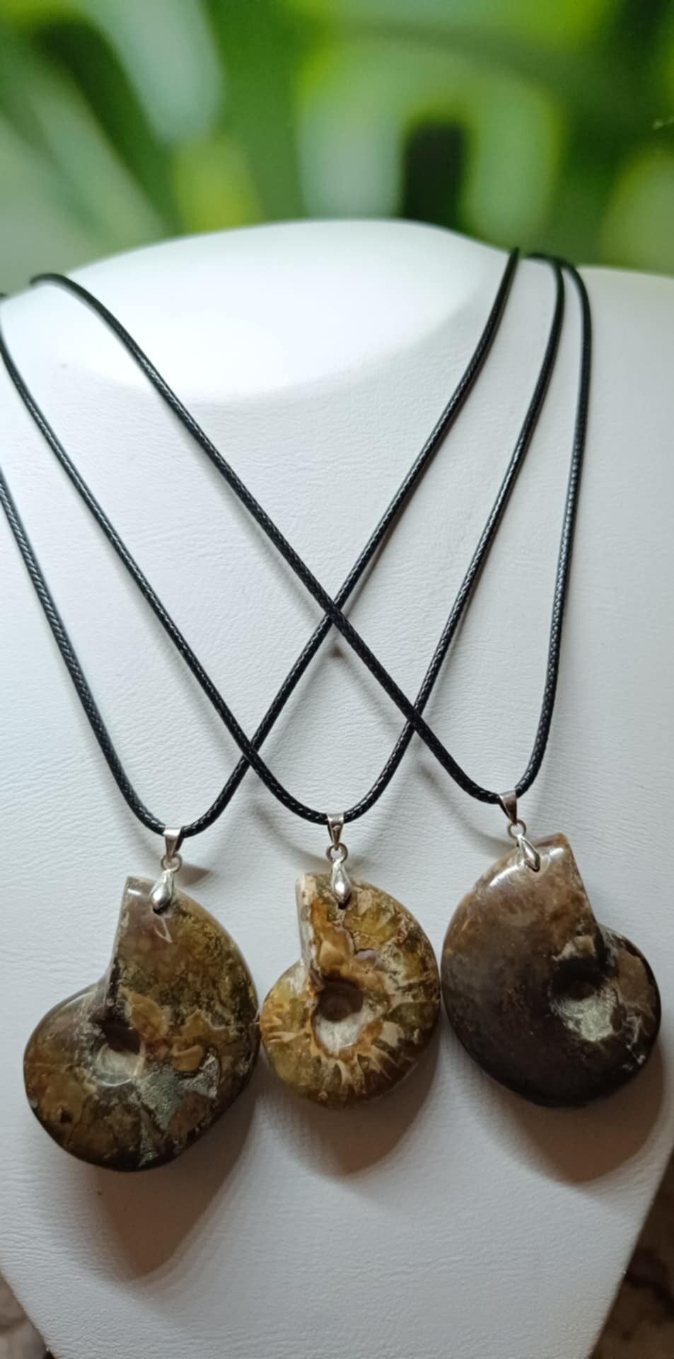 Collier Ammonite Brute