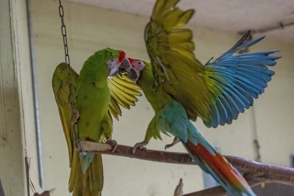 Tierpark Herberstein – Natur & Tierwelt hautnah erleben