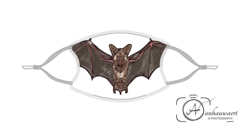 AVPMondmaskerHalloweenVleermuis01.jpg