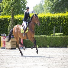 AlixL-BeausynthterDieschoot-ROOS15L16757JPG.jpg